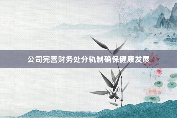 公司完善财务处分轨制确保健康发展